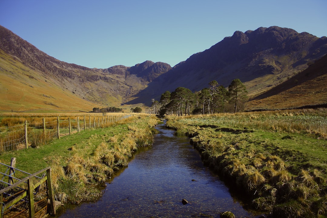 découvrez des solutions efficaces et durables pour l'irrigation de vos cultures et jardins, optimisant l'utilisation de l'eau pour une croissance saine.