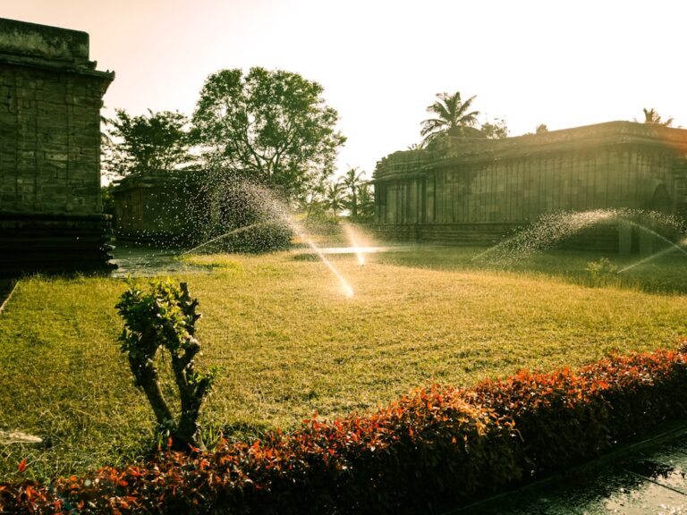 découvrez les solutions d'irrigation efficaces pour optimiser l'arrosage de vos cultures et jardins, économiser l'eau et améliorer la croissance des plantes.