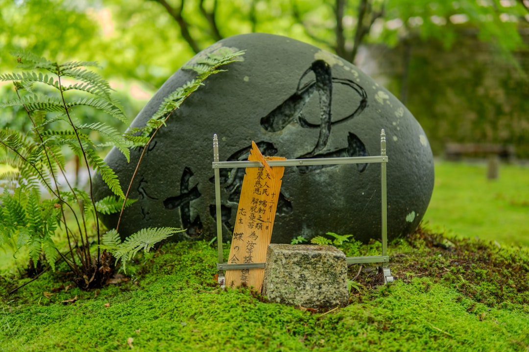découvrez notre sélection d'outils de jardinage japonais de haute qualité, conçus pour allier tradition et efficacité dans l'entretien de votre jardin.