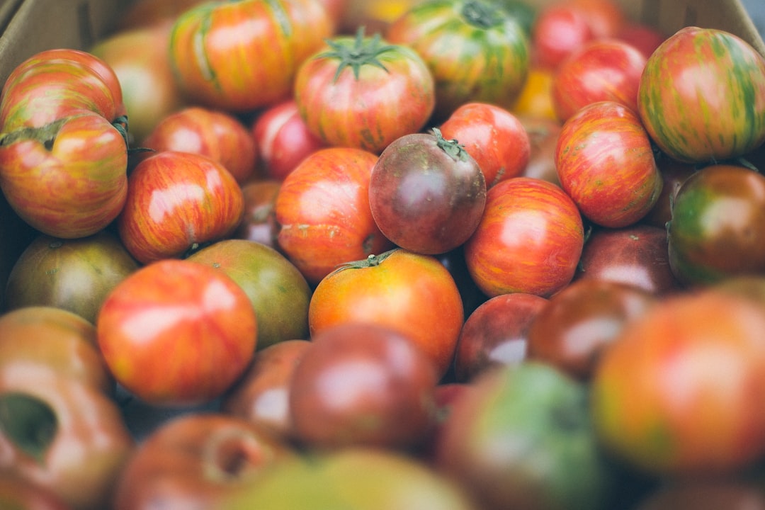 découvrez tout ce qu'il faut savoir sur les tomates tardives : leurs variétés, leur culture, et des astuces pour une récolte réussie. apprenez à profiter au mieux de ces délicieuses tomates dans votre jardin.