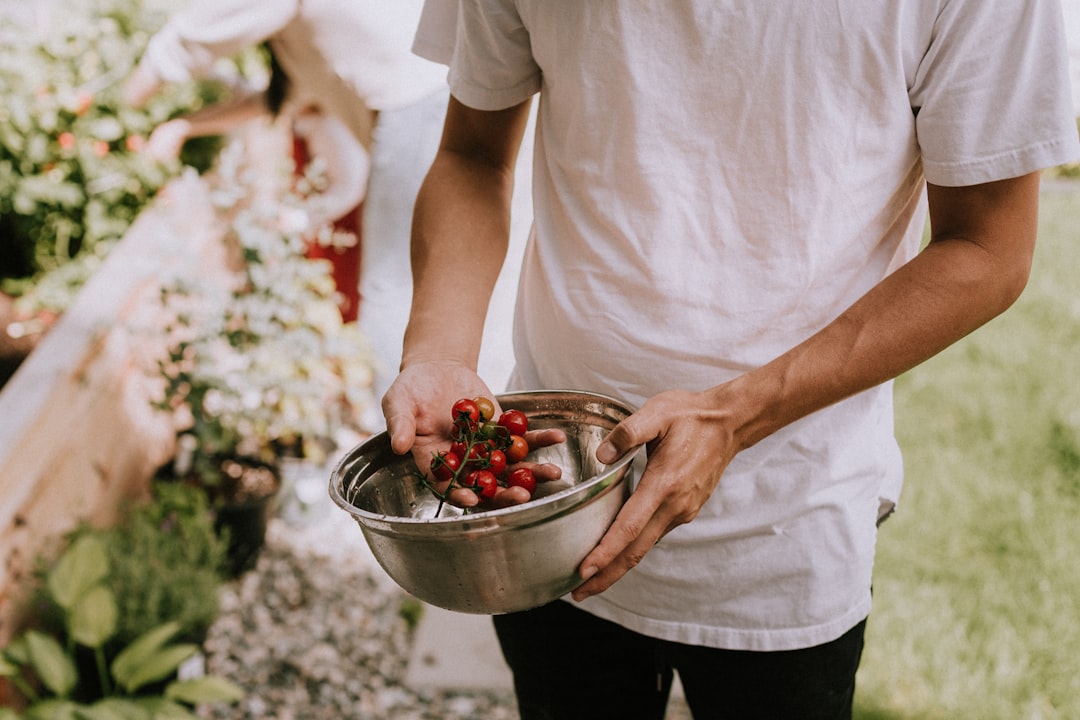 découvrez comment cultiver des tomates tardives avec succès. apprenez les meilleures pratiques pour planter, entretenir et récolter des variétés de tomates savoureuses même en fin de saison.