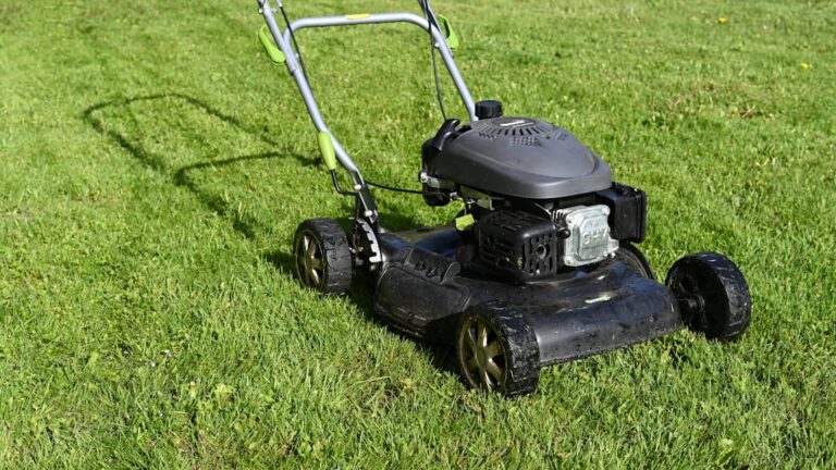 découvrez notre sélection de tondeuses à gazon performantes pour un jardin impeccable. faciles d'utilisation, elles garantissent une coupe nette et rapide.