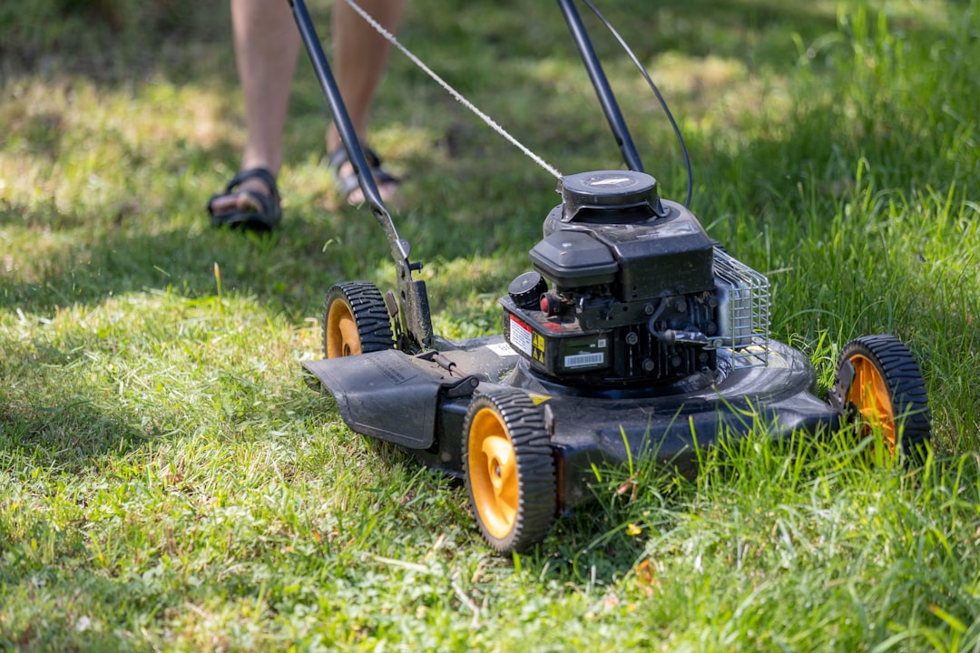 découvrez notre sélection de tondeuses à gazon performantes et faciles à utiliser pour un jardin parfaitement entretenu toute l'année.