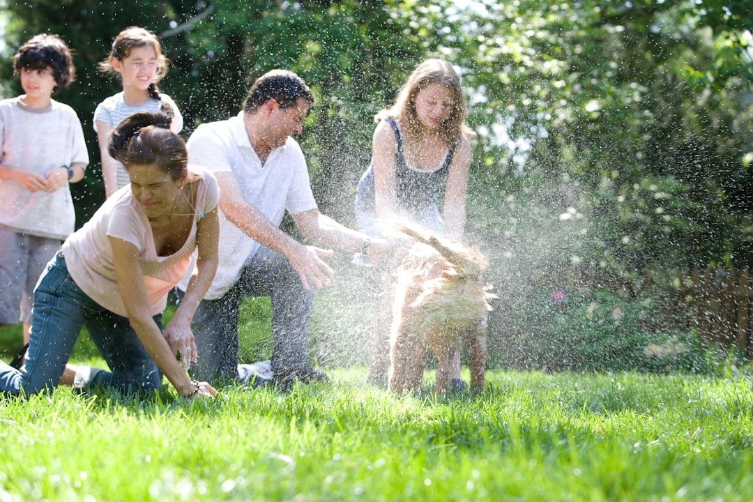 test d'arrosage de pelouse : évaluez l'efficacité de votre système d'irrigation pour une pelouse verte et saine.