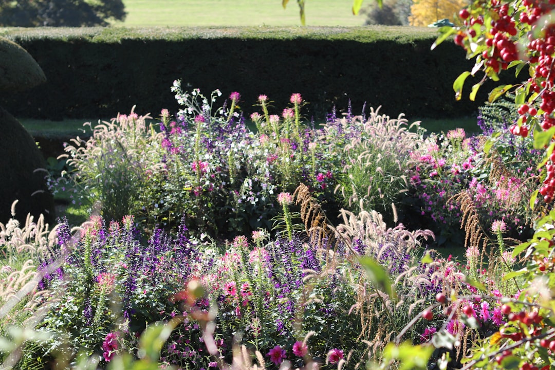 découvrez les avantages du 'layered planting' : une technique de plantation en couches pour un jardin dense, esthétique et facile à entretenir.