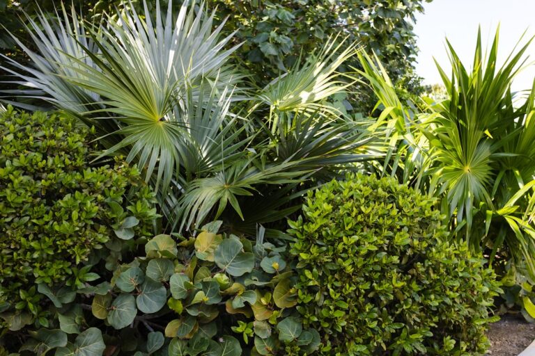 découvrez les techniques de plantation en couches pour créer des jardins riches, diversifiés et esthétiques, optimisant l'espace et la croissance des plantes.