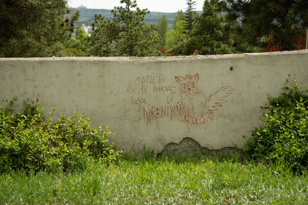 découvrez les impacts et les enjeux du vandalisme ciblant les fermes lgbtq+, ainsi que les actions de soutien et de solidarité envers cette communauté.