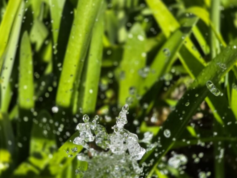 découvrez liquid grass, une pelouse artificielle innovante offrant un gazon d'apparence naturelle, durable et facile à entretenir pour tous vos espaces extérieurs.