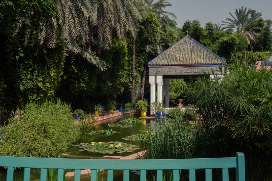 découvrez le jardin majorelle, un havre de paix luxuriant au cœur de marrakech, célèbre pour ses plantes exotiques, ses couleurs vibrantes et son ambiance unique.