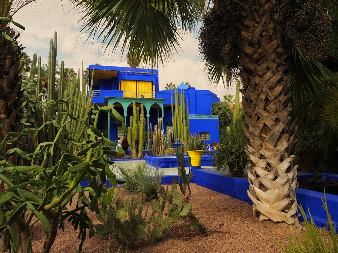 découvrez le jardin majorelle à marrakech, un havre de paix coloré et luxuriant, célèbre pour ses plantes exotiques et son architecture unique.