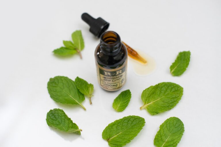 découvrez tout sur la menthe : ses bienfaits, utilisations culinaires et propriétés rafraîchissantes pour votre santé et bien-être.