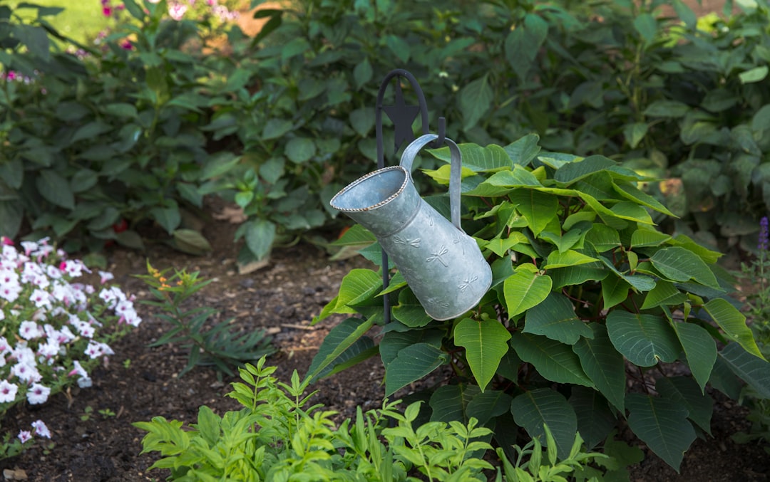 astuce de jardinage matinale : découvrez comment optimiser vos soins aux plantes dès le début de la journée pour un jardin éclatant de santé.