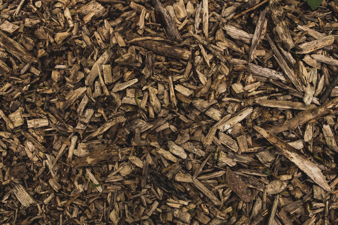 découvrez les avantages du paillis (mulch) pour protéger et enrichir votre sol, améliorer la rétention d'humidité et réduire les mauvaises herbes dans votre jardin.