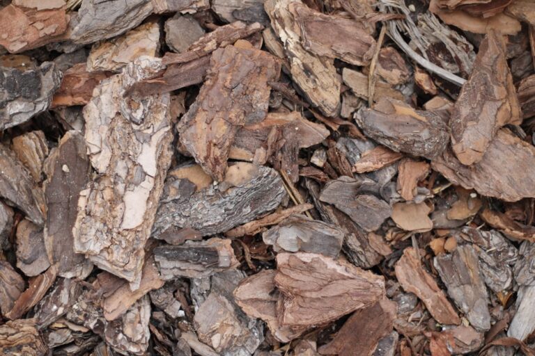 découvrez tout sur le mulching : une technique de tonte qui fertilise naturellement votre pelouse, réduit les déchets verts et favorise la santé de votre gazon. conseils, avantages et astuces pour un jardin écologique.