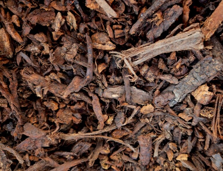 le paillage (mulching) est une technique de jardinage qui consiste à couvrir le sol avec des matériaux organiques ou synthétiques pour protéger les plantes, conserver l'humidité, réduire les mauvaises herbes et améliorer la qualité du sol.