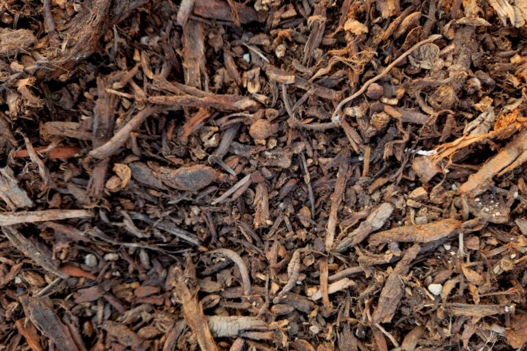 le mulching : technique de paillage écologique pour enrichir le sol, conserver l'humidité et réduire les mauvaises herbes dans votre jardin.