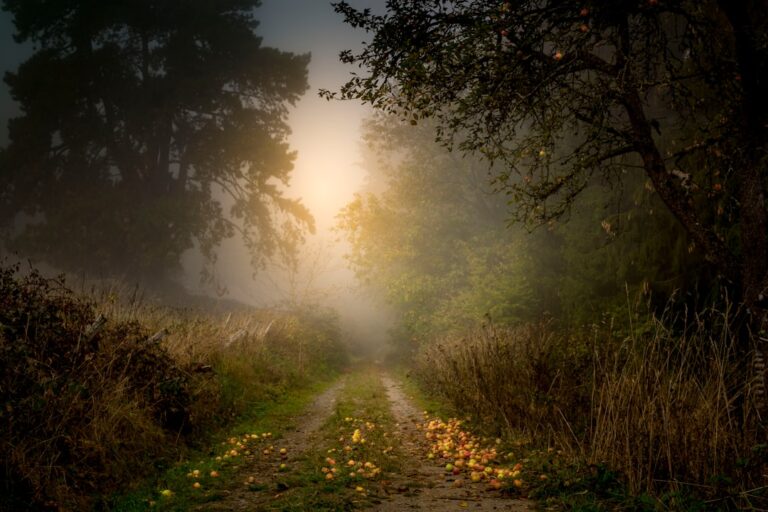découvrez le mystère captivant qui vous tiendra en haleine, entre suspense et énigmes à résoudre.