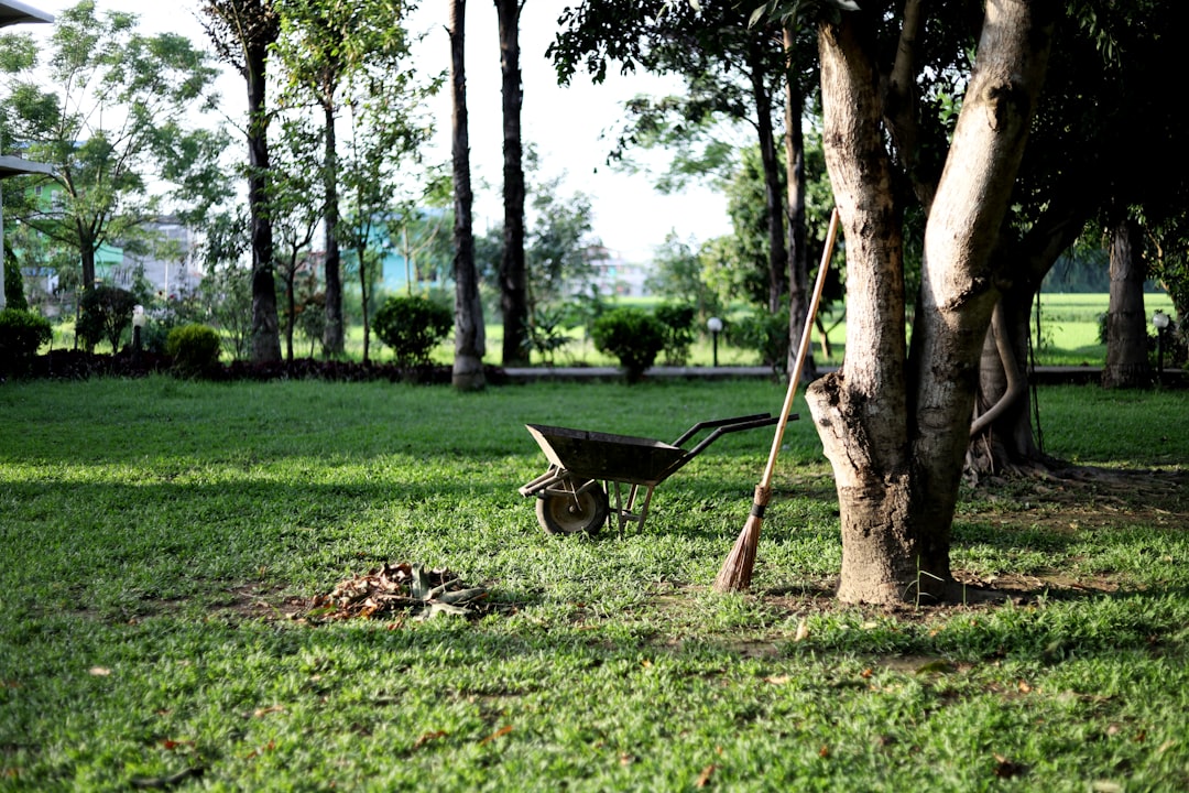 découvrez le jardinage naturel : des méthodes écologiques pour cultiver un jardin sain et respectueux de l'environnement.
