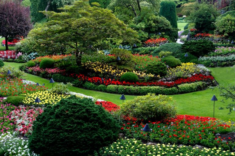découvrez le jardinage naturel : des techniques écologiques pour un potager sain et respectueux de la nature.