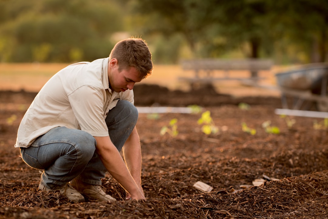 découvrez le jardinage sans labour : une méthode écologique et efficace pour cultiver votre potager sans perturber la terre.