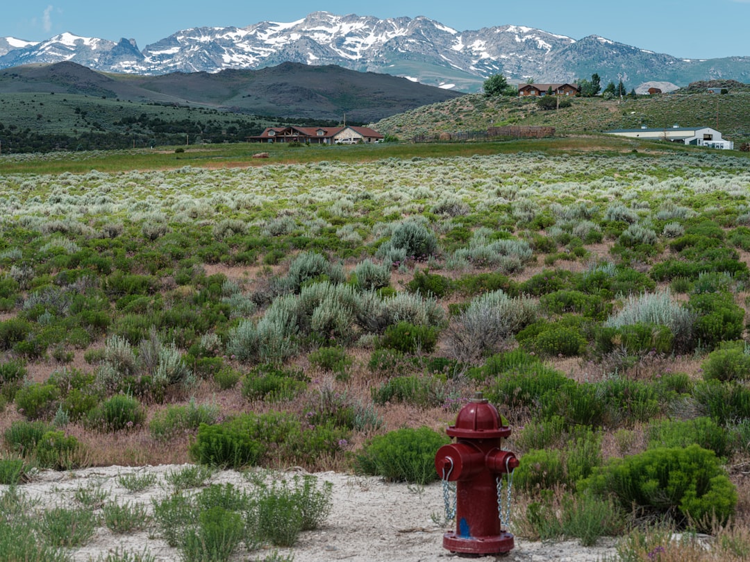 découvrez les paysages époustouflants du nord du nevada, entre montagnes majestueuses, déserts sauvages et panoramas à couper le souffle.