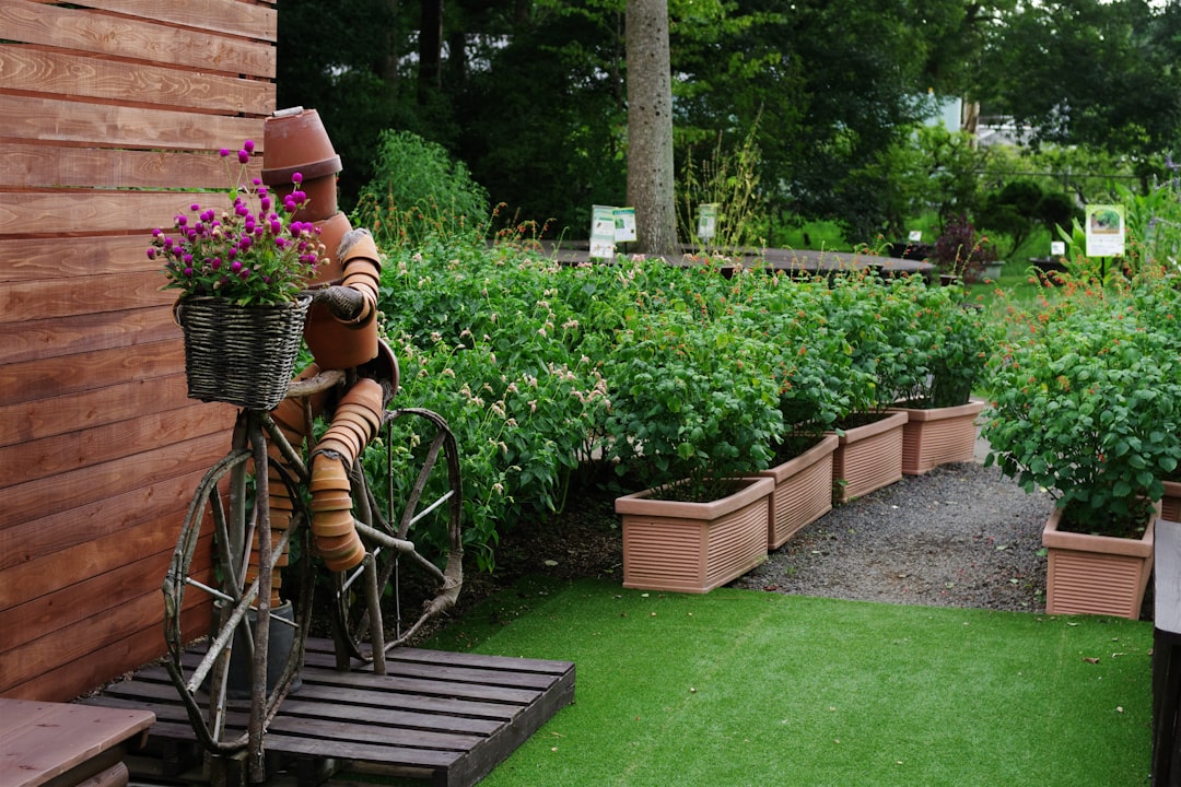 découvrez les astuces pour un jardinage en terrasse biologique et durable, idéal pour cultiver vos plantes et légumes frais chez vous.