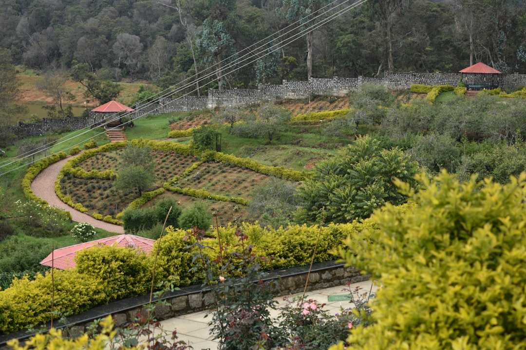 découvrez les astuces du jardinage bio sur terrasse pour cultiver vos légumes et plantes aromatiques naturellement, même en espace réduit.