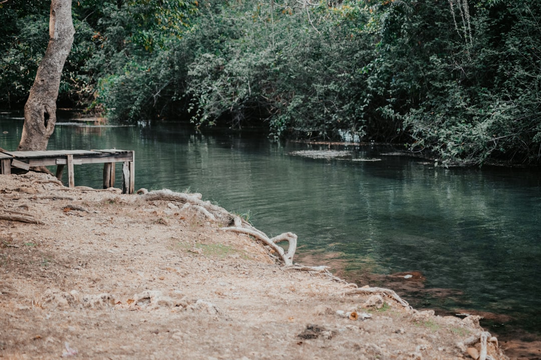 découvrez les meilleures activités de plein air à pratiquer en solo, en famille ou entre amis : randonnée, vélo, sports nautiques, camping et bien plus pour profiter de la nature toute l'année.