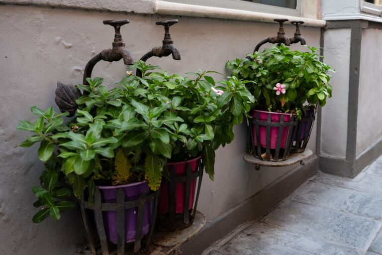 découvrez notre jardinière d'extérieur élégante et durable, parfaite pour embellir vos espaces verts avec style et résistance aux intempéries.