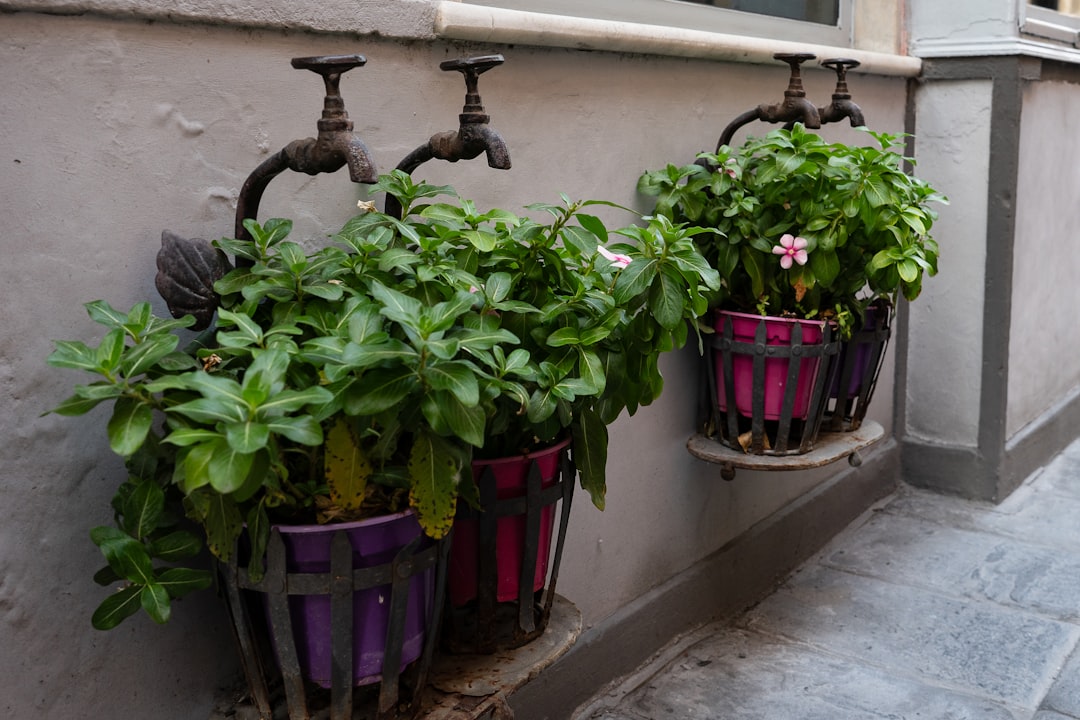 découvrez notre jardinière d'extérieur élégante et durable, parfaite pour embellir vos espaces verts avec style et résistance aux intempéries.