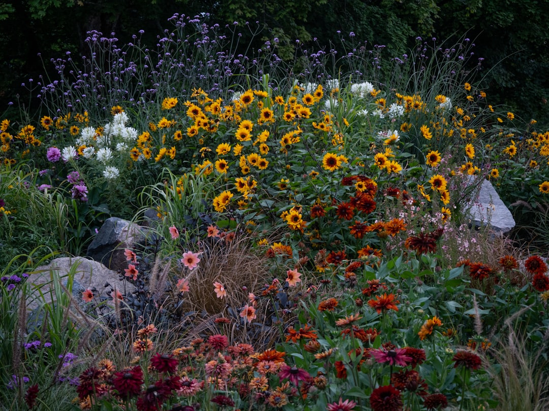 découvrez tout sur les plantes vivaces : conseils de culture, entretien, et variétés pour un jardin fleuri toute l'année.