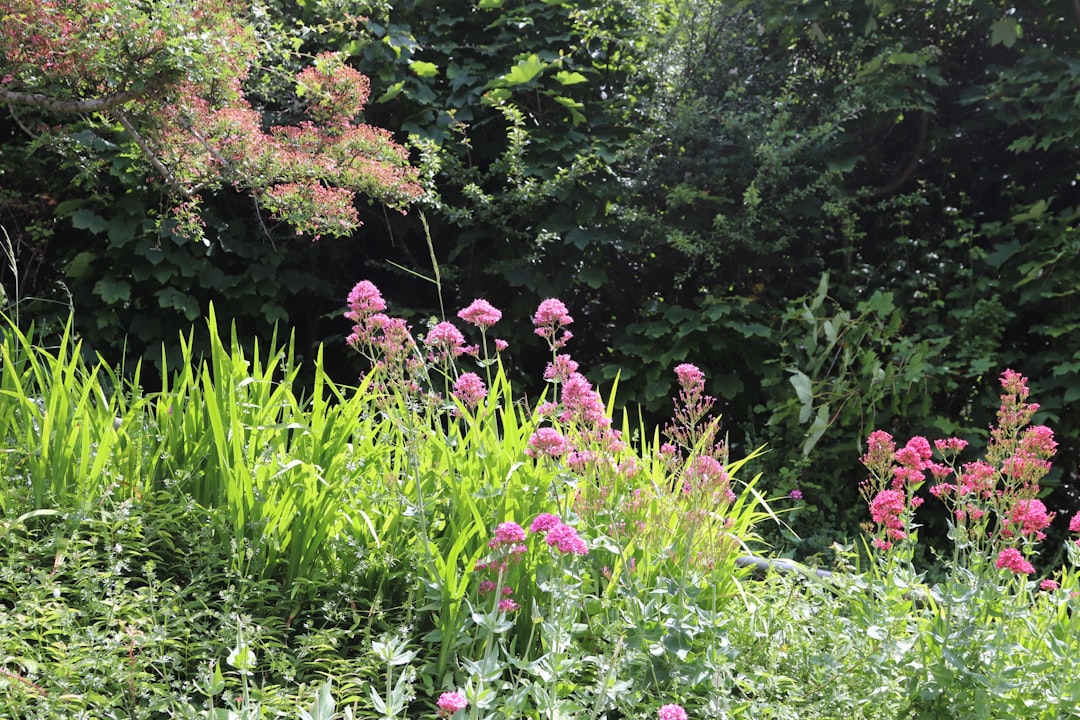 découvrez les conseils et astuces pour la plantation de vivaces, afin de créer un jardin durable et florissant toute l'année.