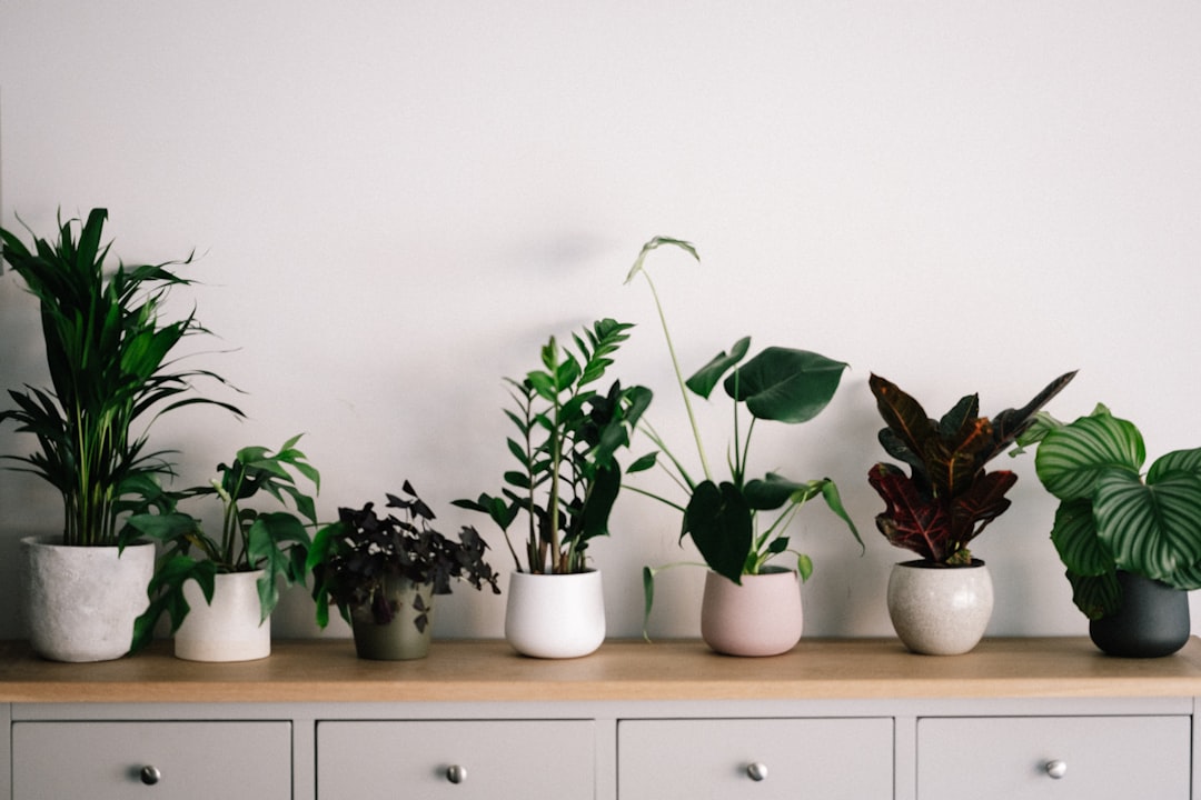 découvrez notre sélection de supports pour plantes élégants et fonctionnels, parfaits pour mettre en valeur vos végétaux avec style.