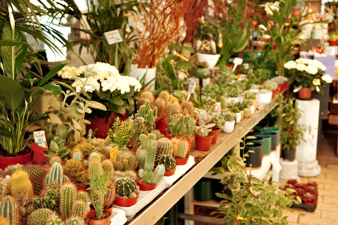 découvrez notre foire aux plantes : une sélection unique de plantes pour embellir votre intérieur et votre jardin. conseils d’experts et offres spéciales vous attendent !
