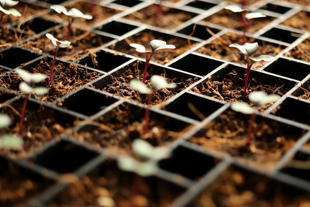 échangez vos plantes et graines avec notre communauté passionnée pour enrichir votre jardin et découvrir de nouvelles variétés.