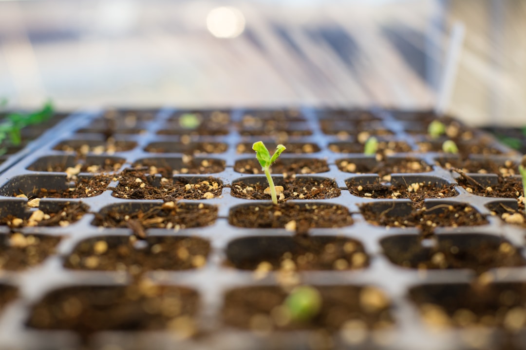 échangez des plantes et des graines avec notre communauté passionnée de jardinage. partagez vos semences, découvrez de nouvelles variétés et faites grandir votre jardin autrement.