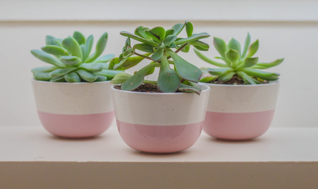découvrez notre sélection de pots de fleurs pour embellir votre intérieur et votre jardin. des styles variés et des matériaux de qualité pour toutes vos plantes.