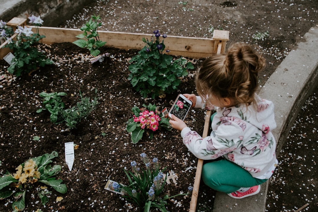 découvrez nos conseils pratiques pour la plantation de légumes, du choix des graines à l'entretien du potager, pour une récolte réussie toute l'année.
