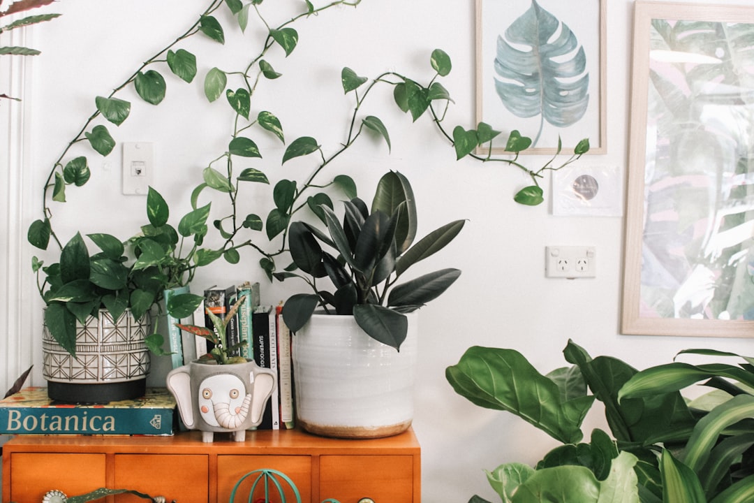 découvrez notre sélection variée de plantes pour embellir votre intérieur et votre jardin, des soins aux conseils pour chaque variété.