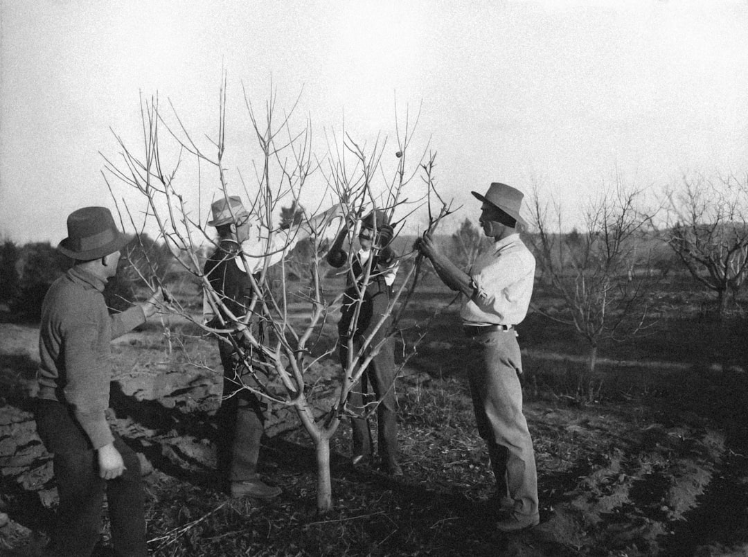 découvrez l'art de la taille des plantes avec nos conseils pratiques et astuces d'experts. apprenez à améliorer la santé et la beauté de votre jardin grâce à des techniques de pruning adaptées à chaque type de végétation.