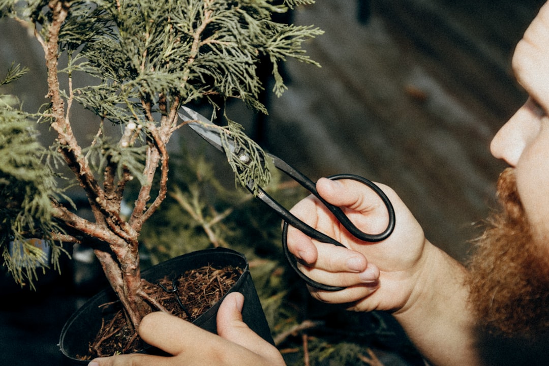 découvrez comment restaurer vos sécateurs de taille pour une coupe précise et efficace. guide complet pour l'entretien et l'affûtage de vos outils de jardinage.