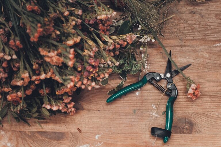 découvrez nos solutions professionnelles pour la restauration de sécateurs de jardin, garantissant une coupe précise et une longue durée de vie de vos outils de taille.