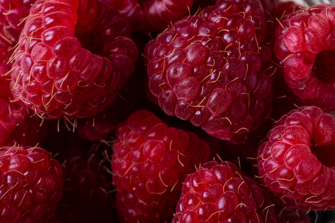 découvrez tout sur le raspberry : ses utilisations, ses avantages et comment l'intégrer dans vos projets technologiques et culinaires facilement.