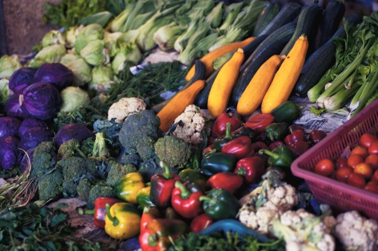découvrez des légumes résistants, capables de s'adapter aux conditions difficiles pour garantir une récolte abondante et durable toute l'année.