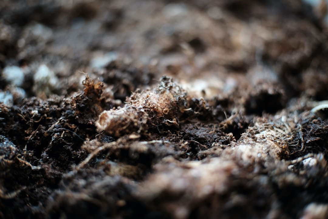 découvrez comment réutiliser votre terreau de rempotage pour économiser et favoriser la croissance de vos plantes tout en respectant l'environnement.