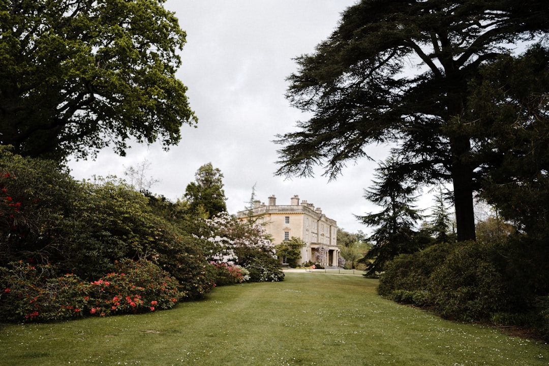 découvrez la beauté éclatante des rhododendrons et azalées en pleine floraison, apportant couleurs et vie à votre jardin au printemps.