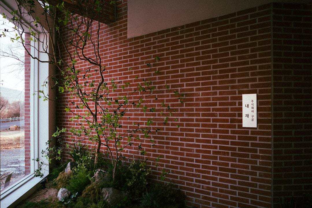 découvrez les codes exclusifs du jardin roblox pour décembre 2025 et débloquez des objets uniques pour votre expérience de jeu.