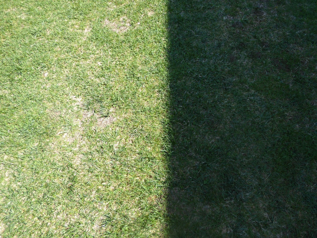 découvrez la tondeuse à gazon robotisée, l'alliance parfaite entre technologie et jardinage. profitez d'un jardin toujours impeccable sans effort grâce à son fonctionnement autonome et intelligent. idéale pour tous les types de pelouses, elle s'adapte à votre terrain et vous fait gagner du temps. découvrez la révolution du jardinage !