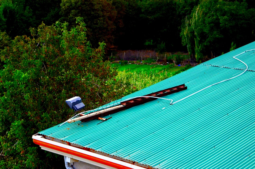 découvrez les astuces et conseils pour réussir votre jardin sur le toit, optimiser l'espace urbain et cultiver vos plantes favorites en plein air.