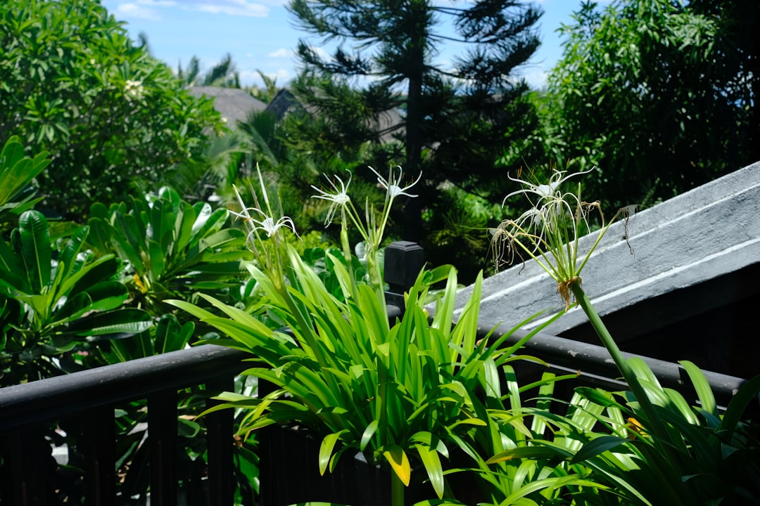 découvrez les astuces et conseils pour créer un jardin sur le toit, profitez d'un espace vert en ville et cultivez vos plantes en toute simplicité grâce au rooftop gardening.